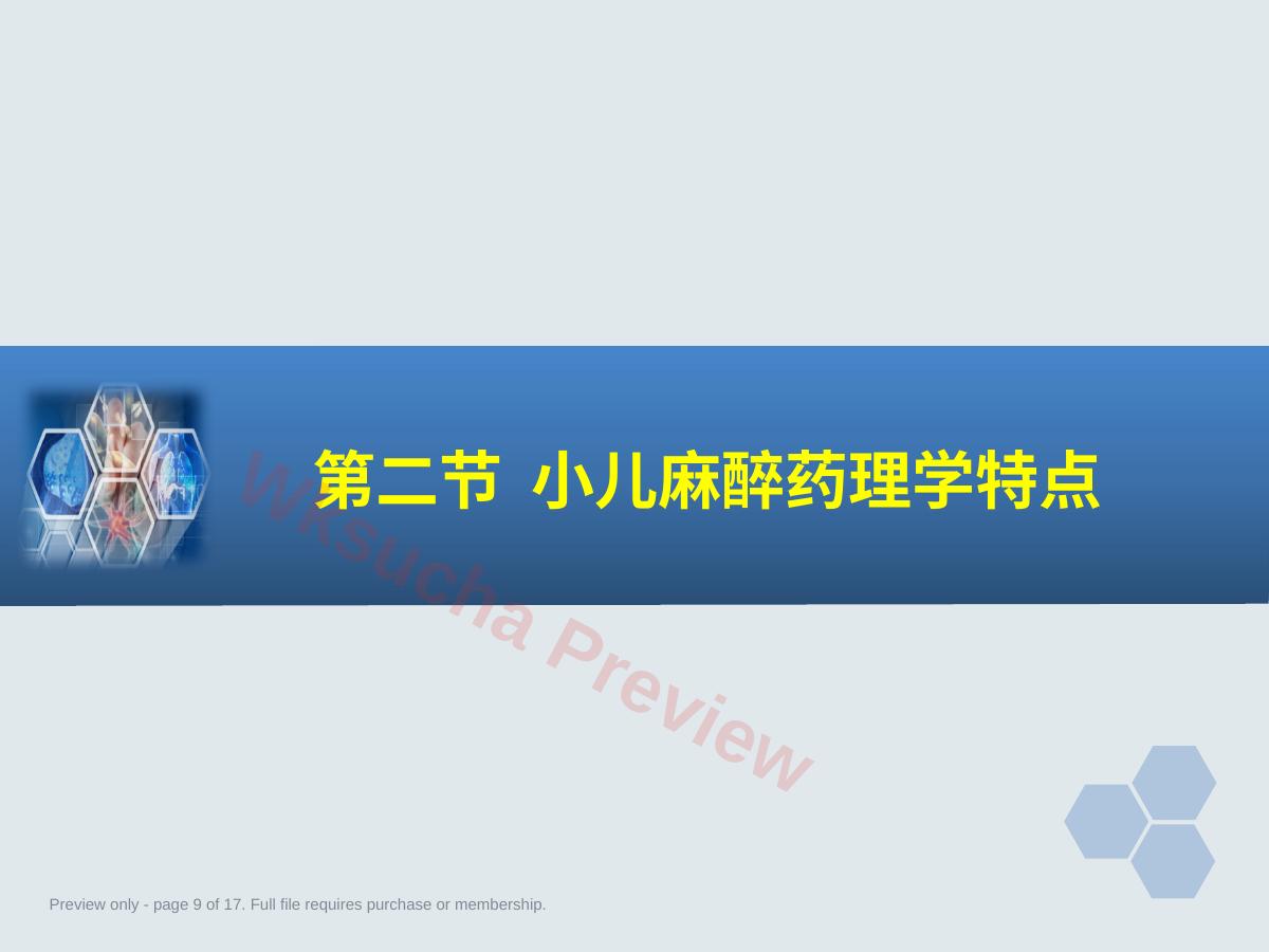 预览第 9 页