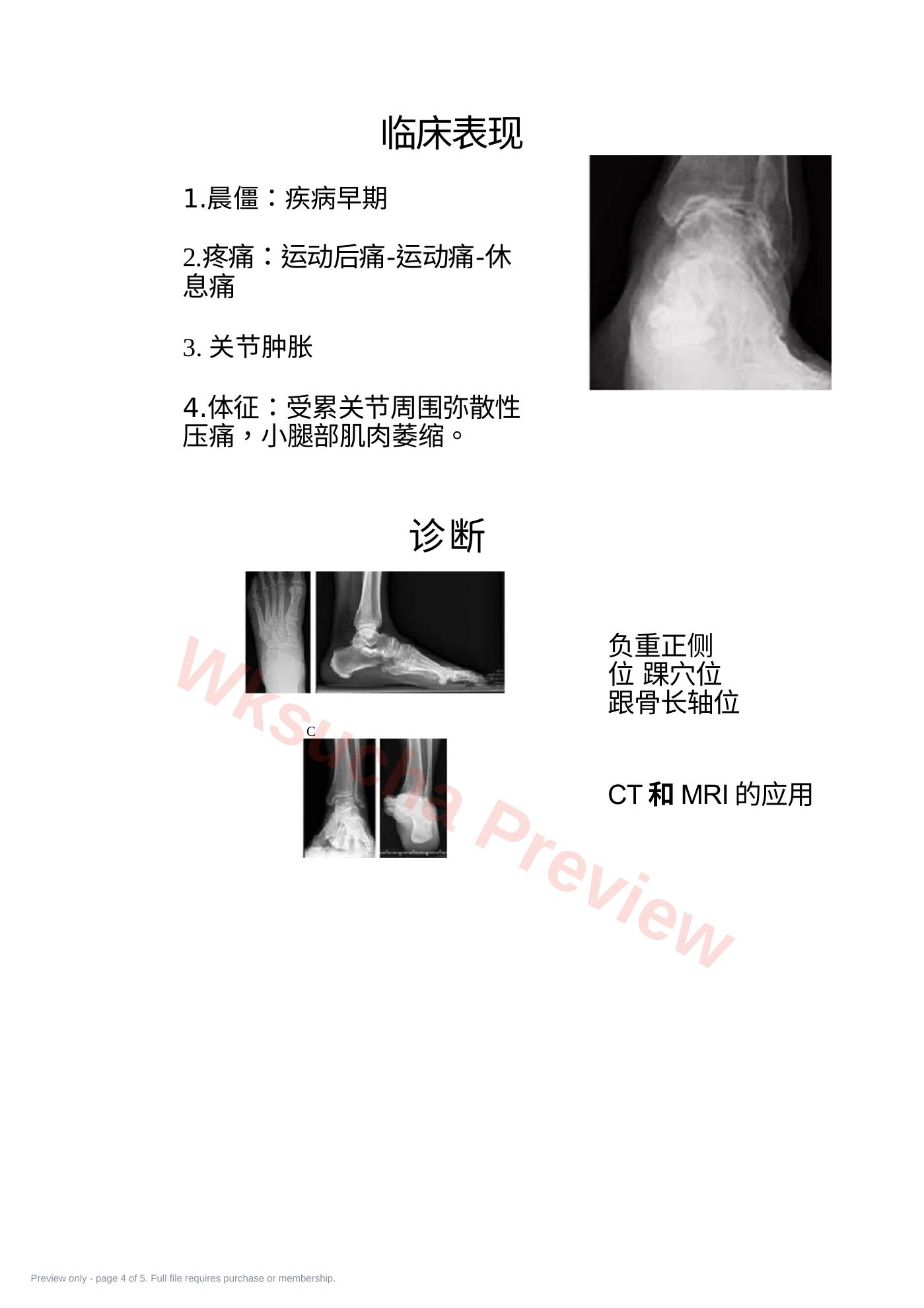 预览第 4 页