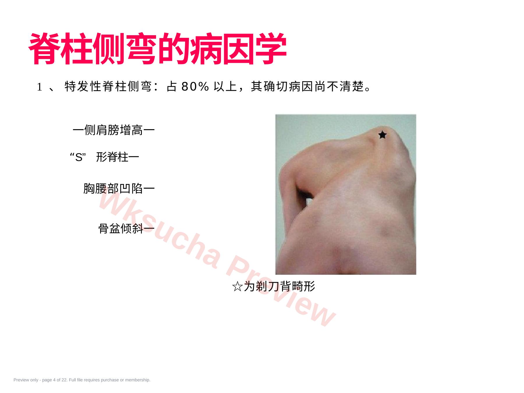 预览第 4 页