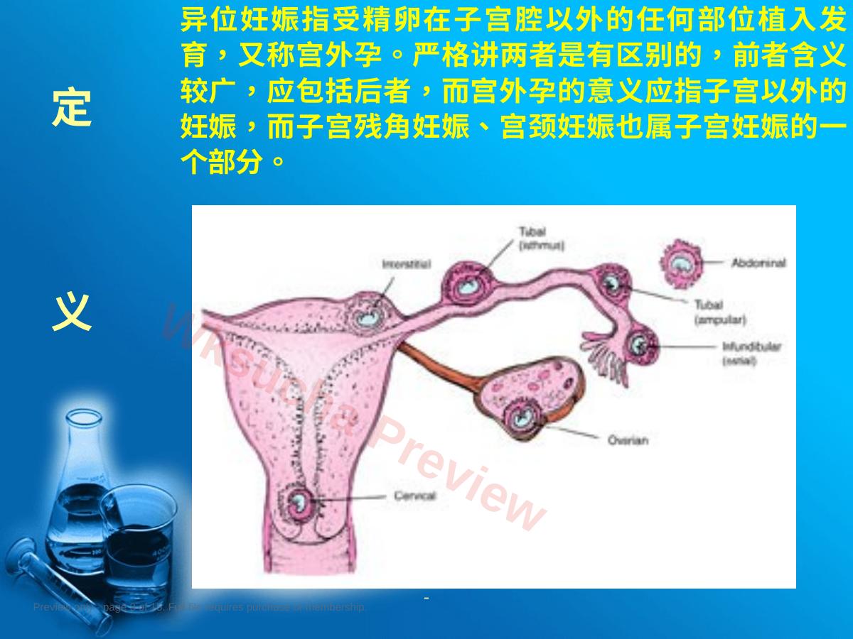 预览第 3 页