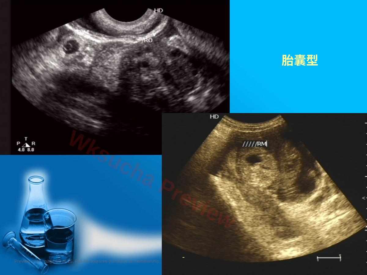 预览第 10 页
