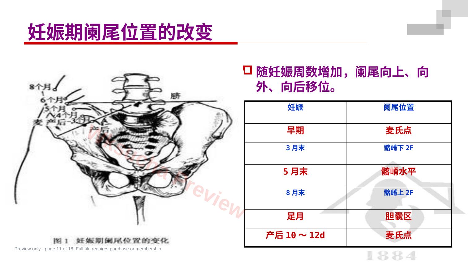 预览第 11 页