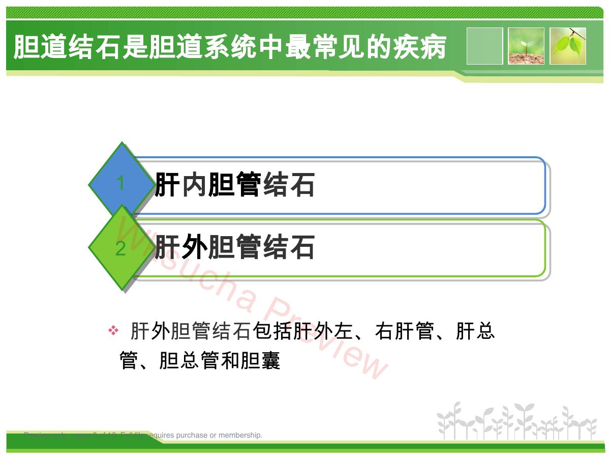 预览第 3 页
