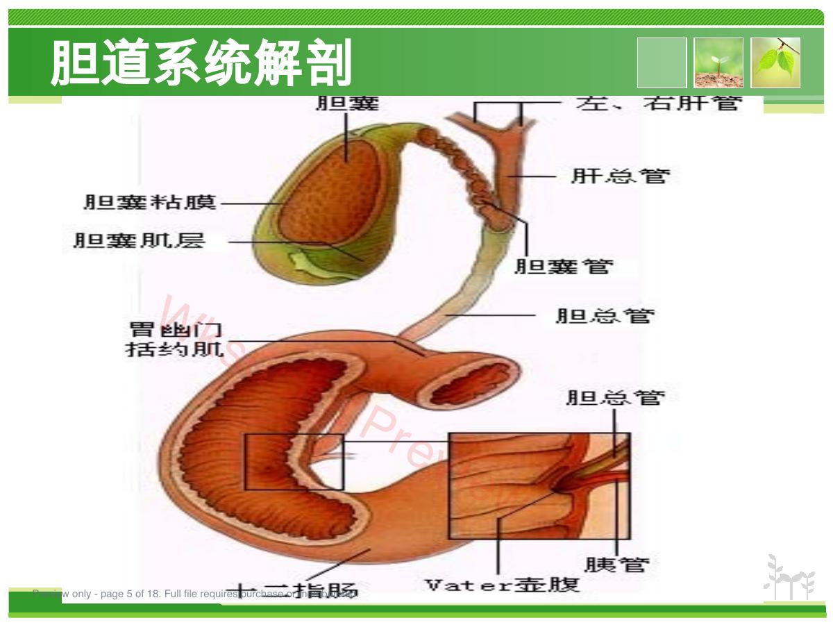 预览第 5 页