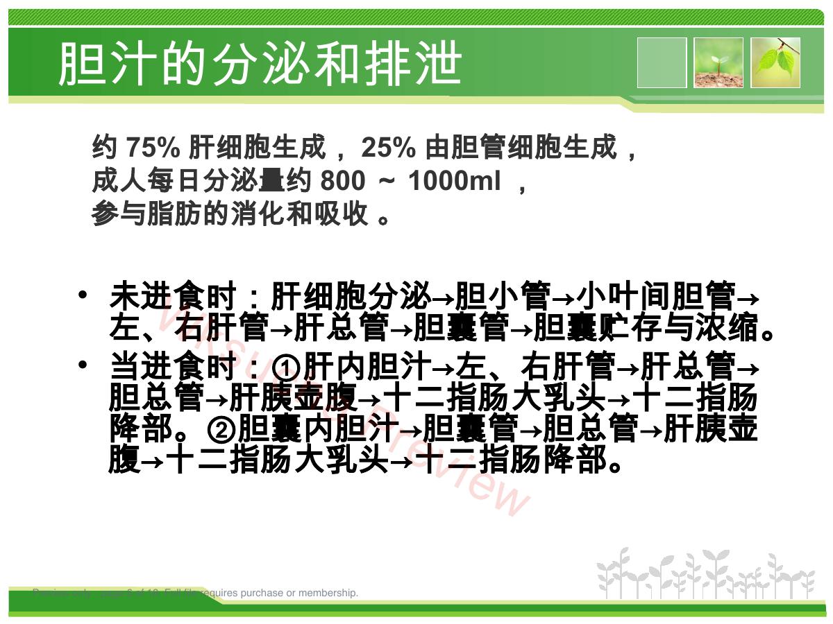 预览第 6 页