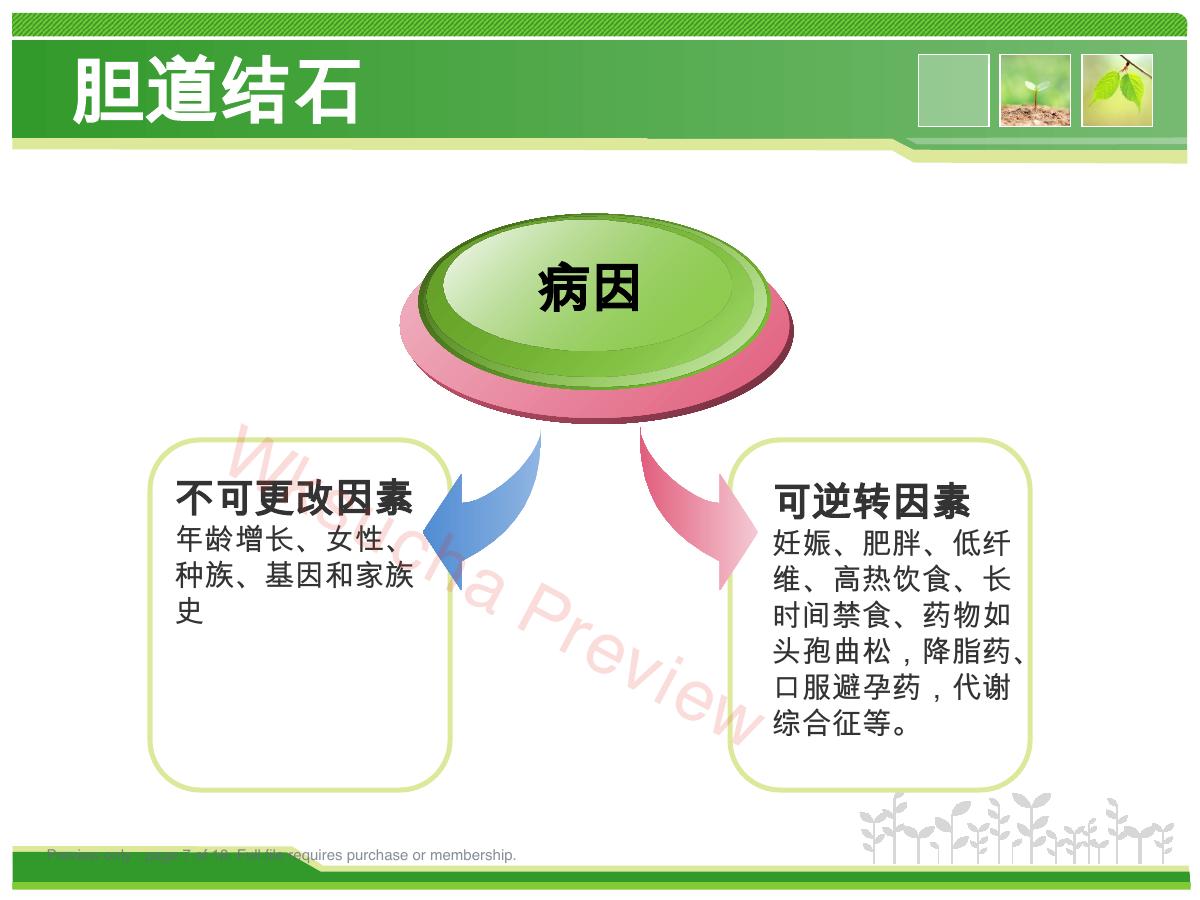 预览第 7 页