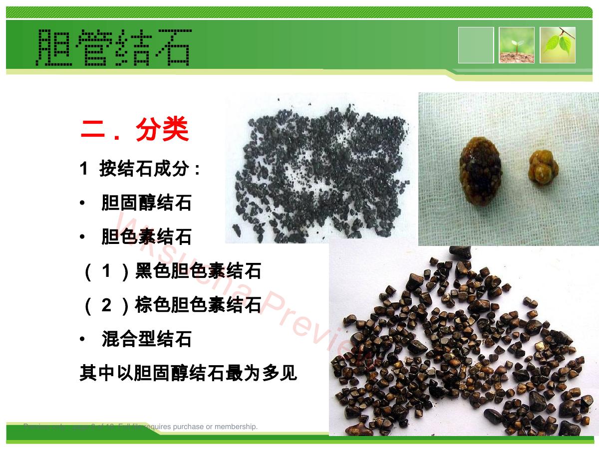 预览第 8 页