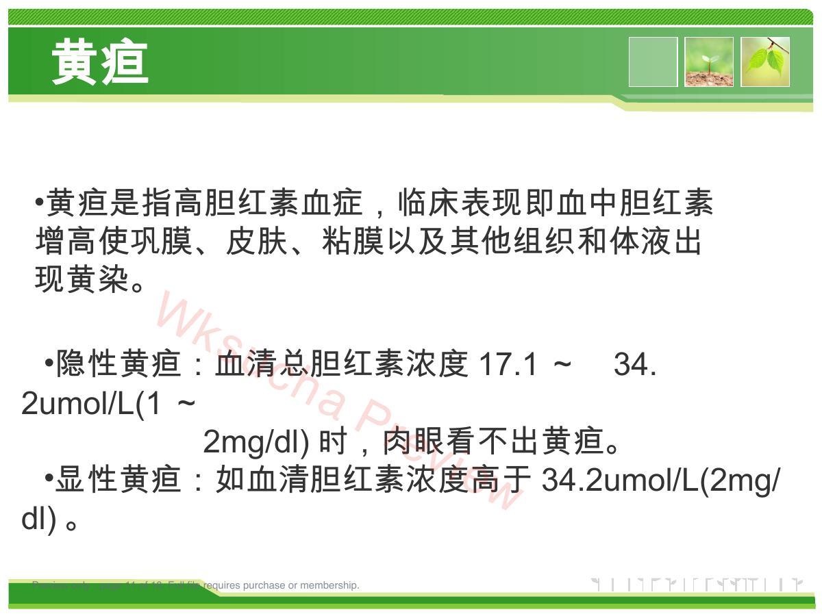 预览第 11 页