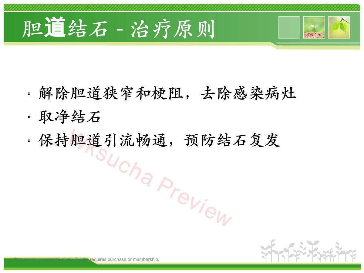 预览第 16 页