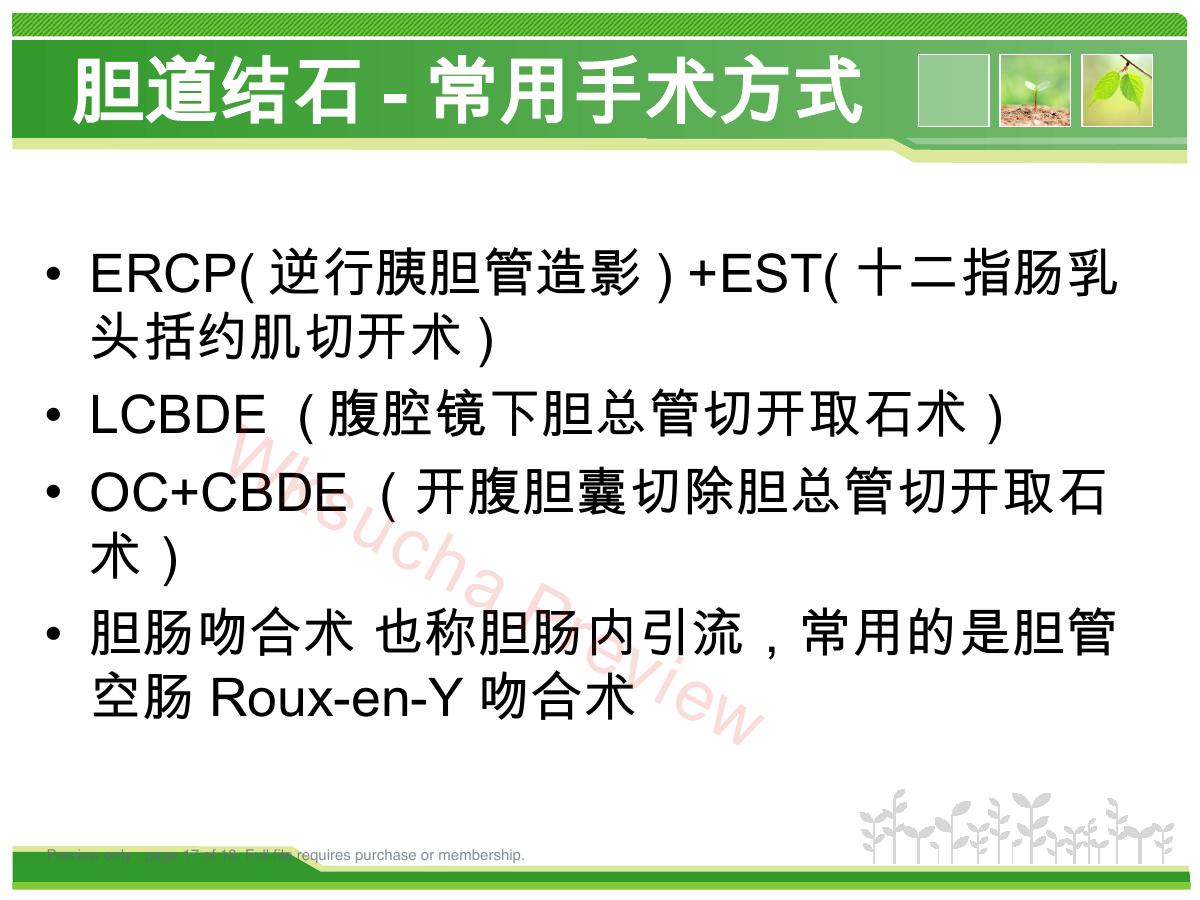预览第 17 页