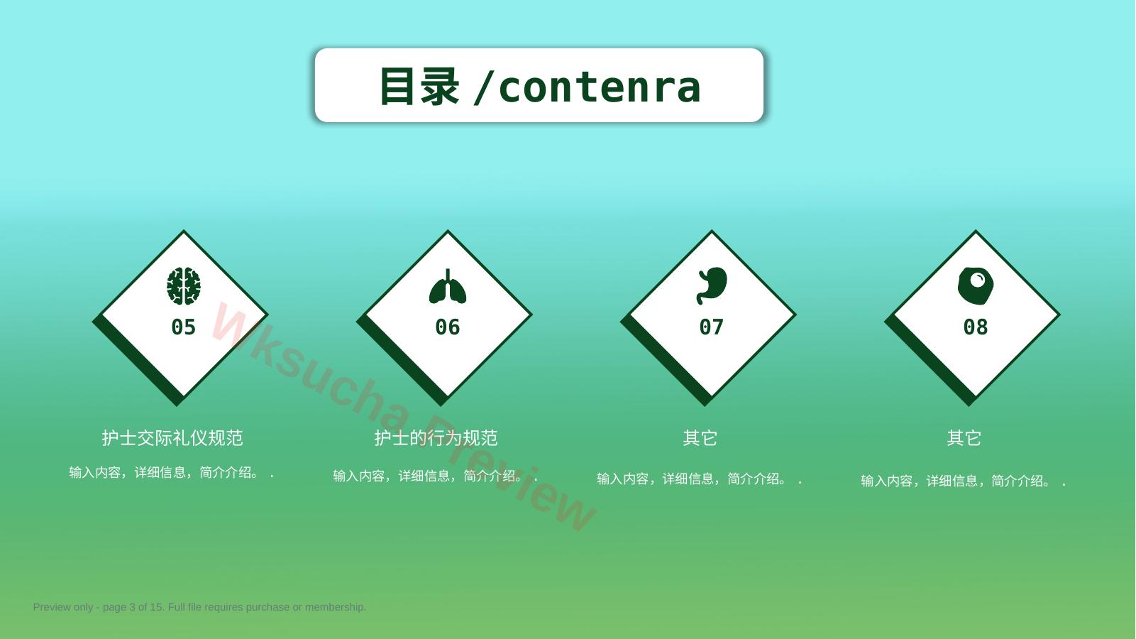 预览第 3 页