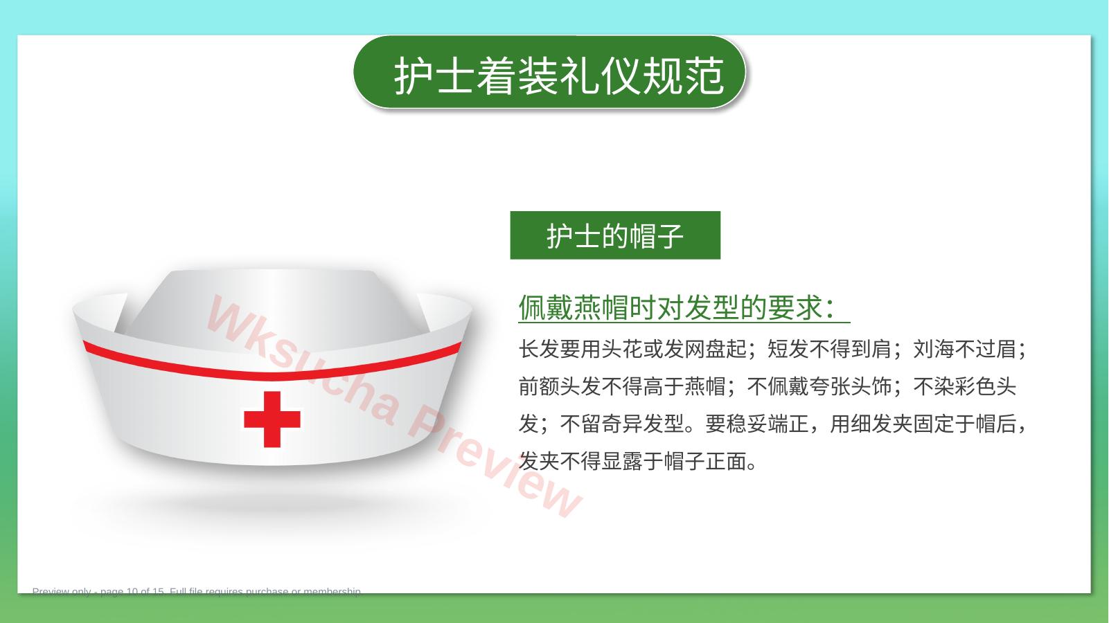 预览第 10 页