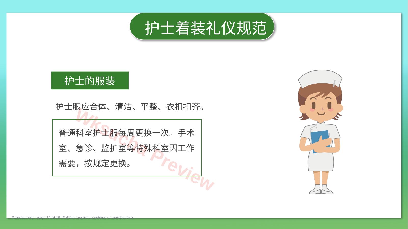 预览第 12 页