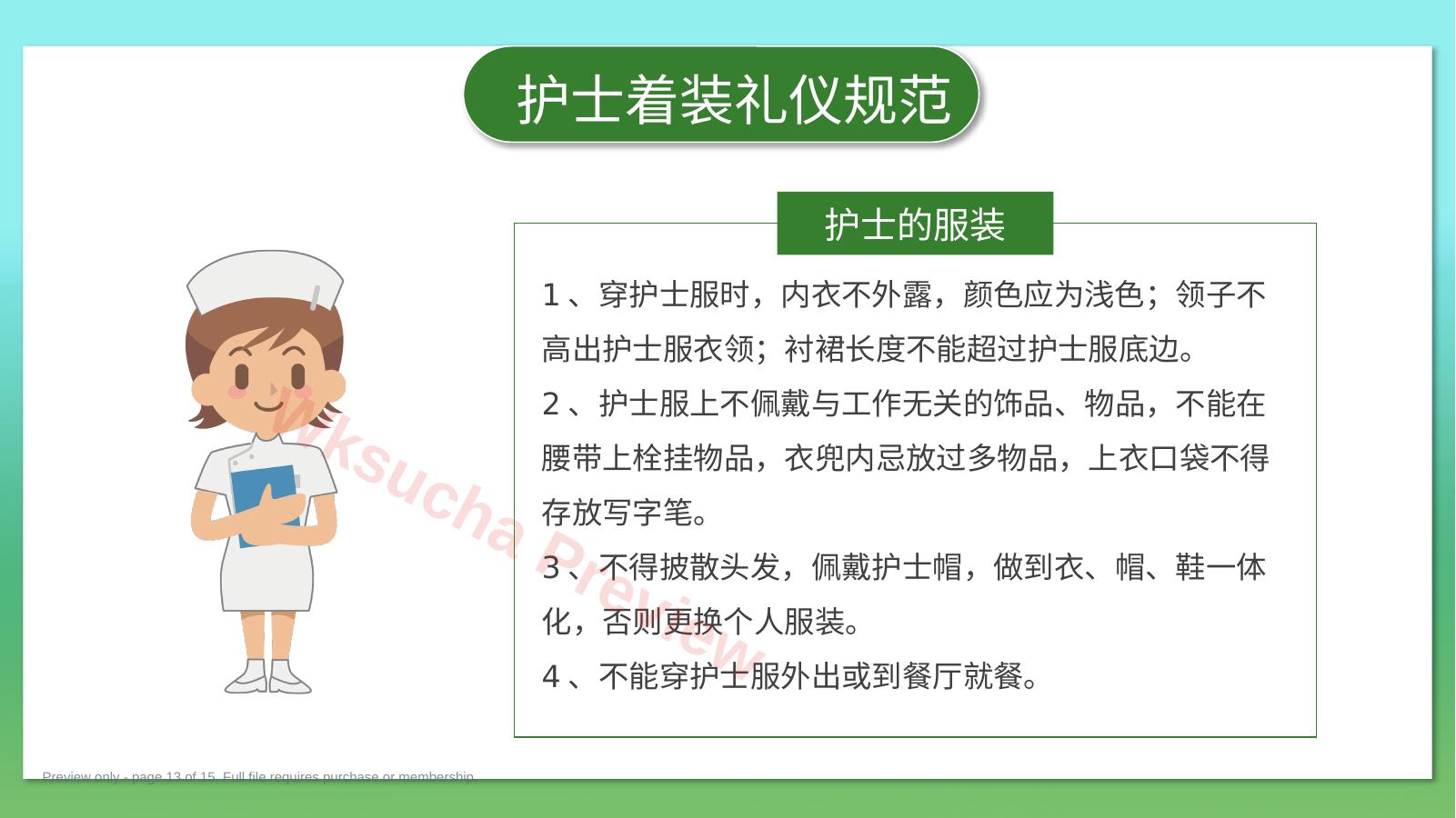 预览第 13 页