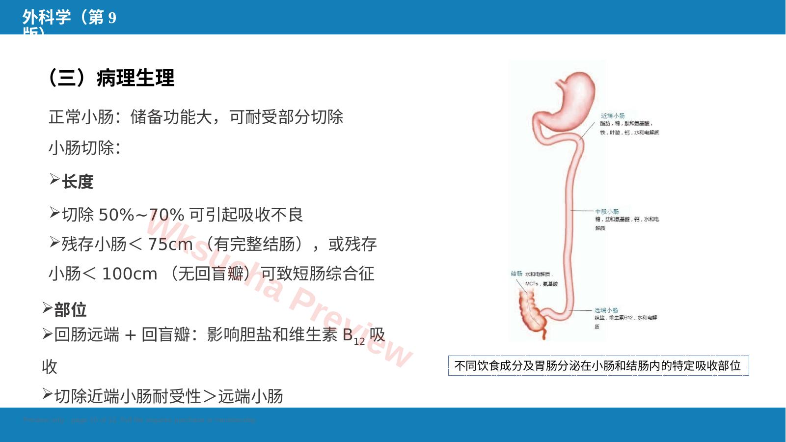 预览第 10 页