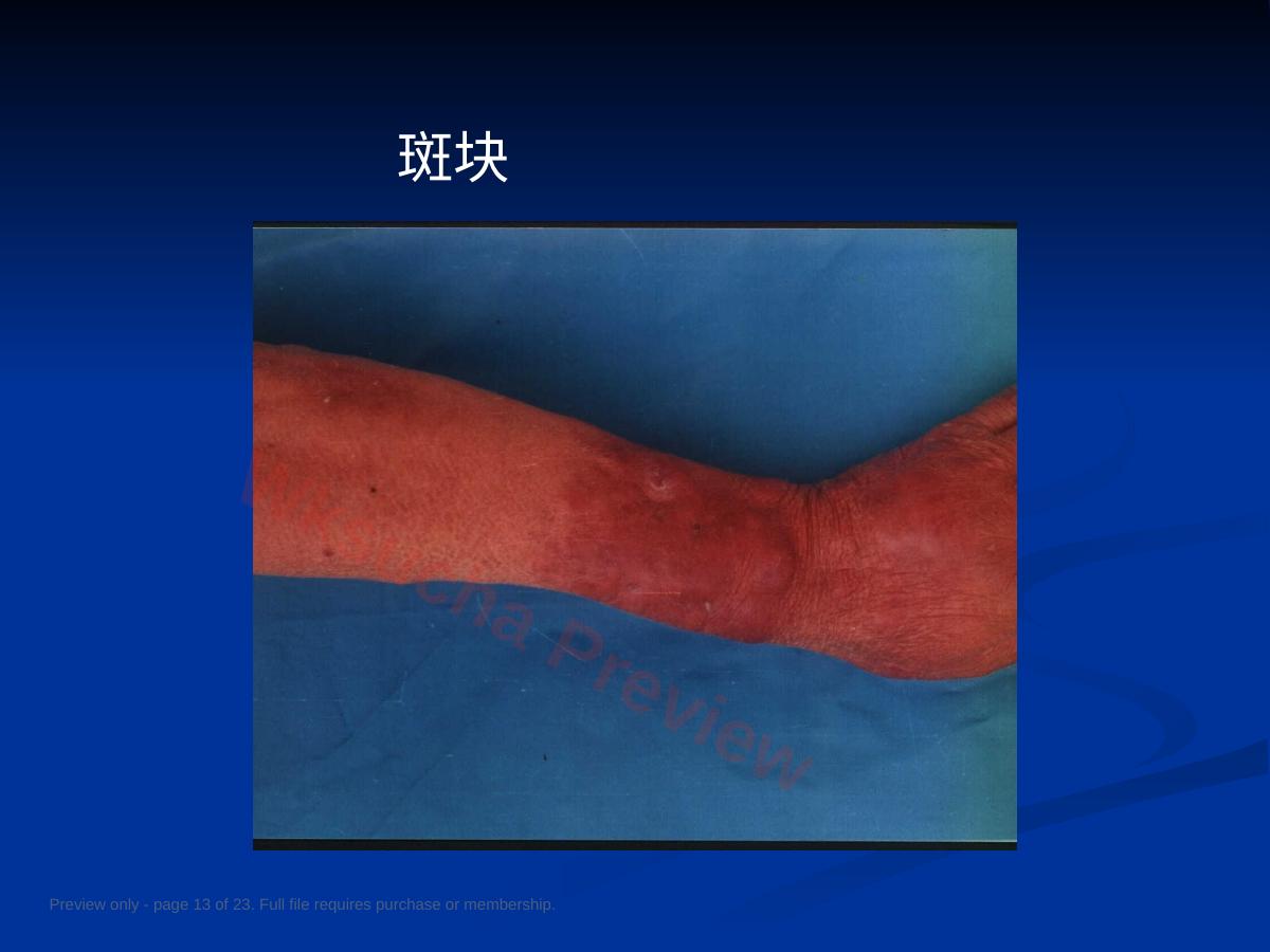 预览第 13 页