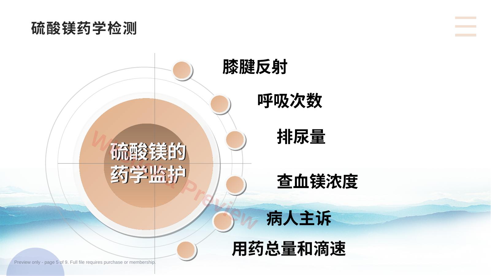 预览第 5 页