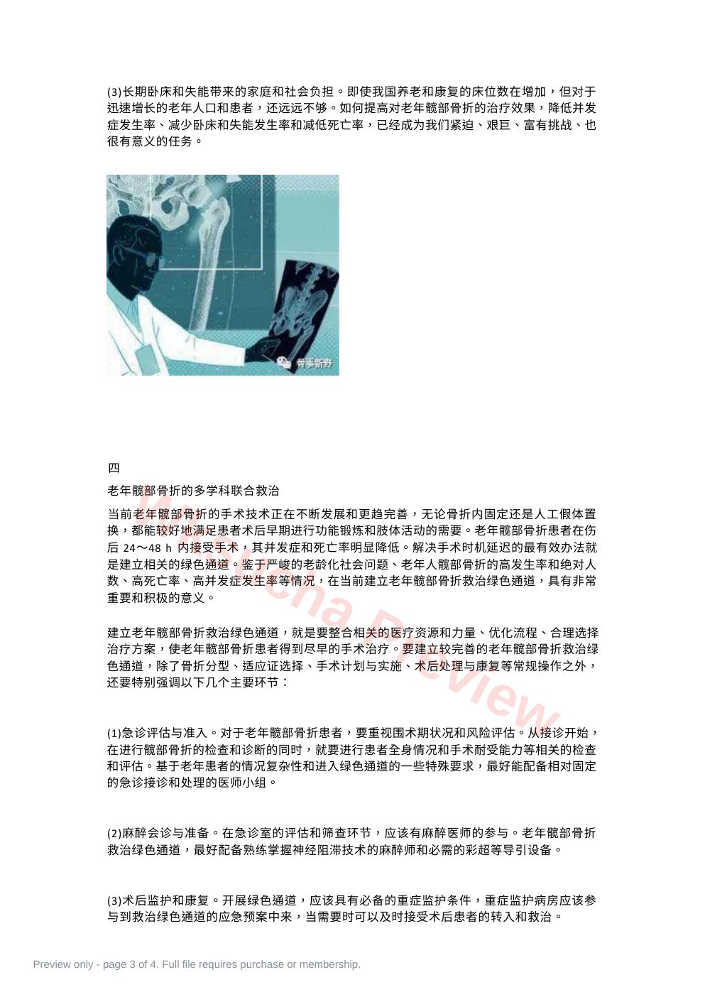 预览第 3 页