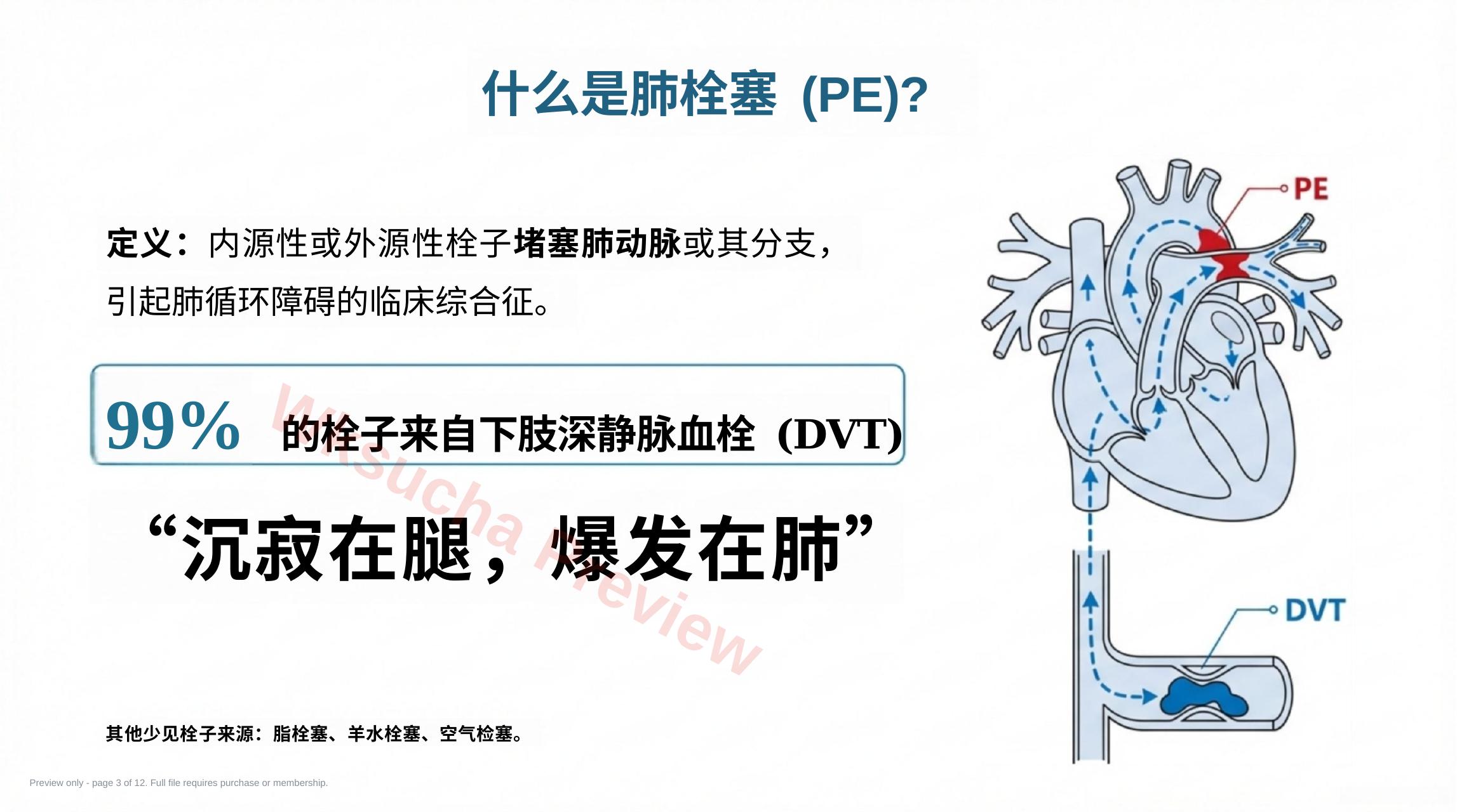预览第 3 页