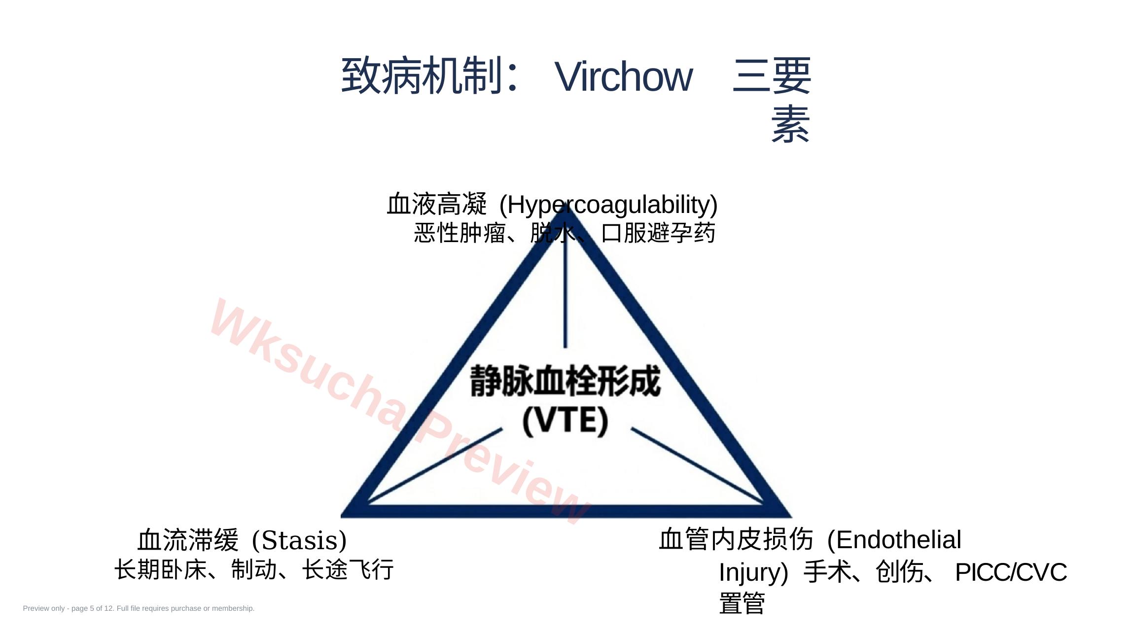 预览第 5 页