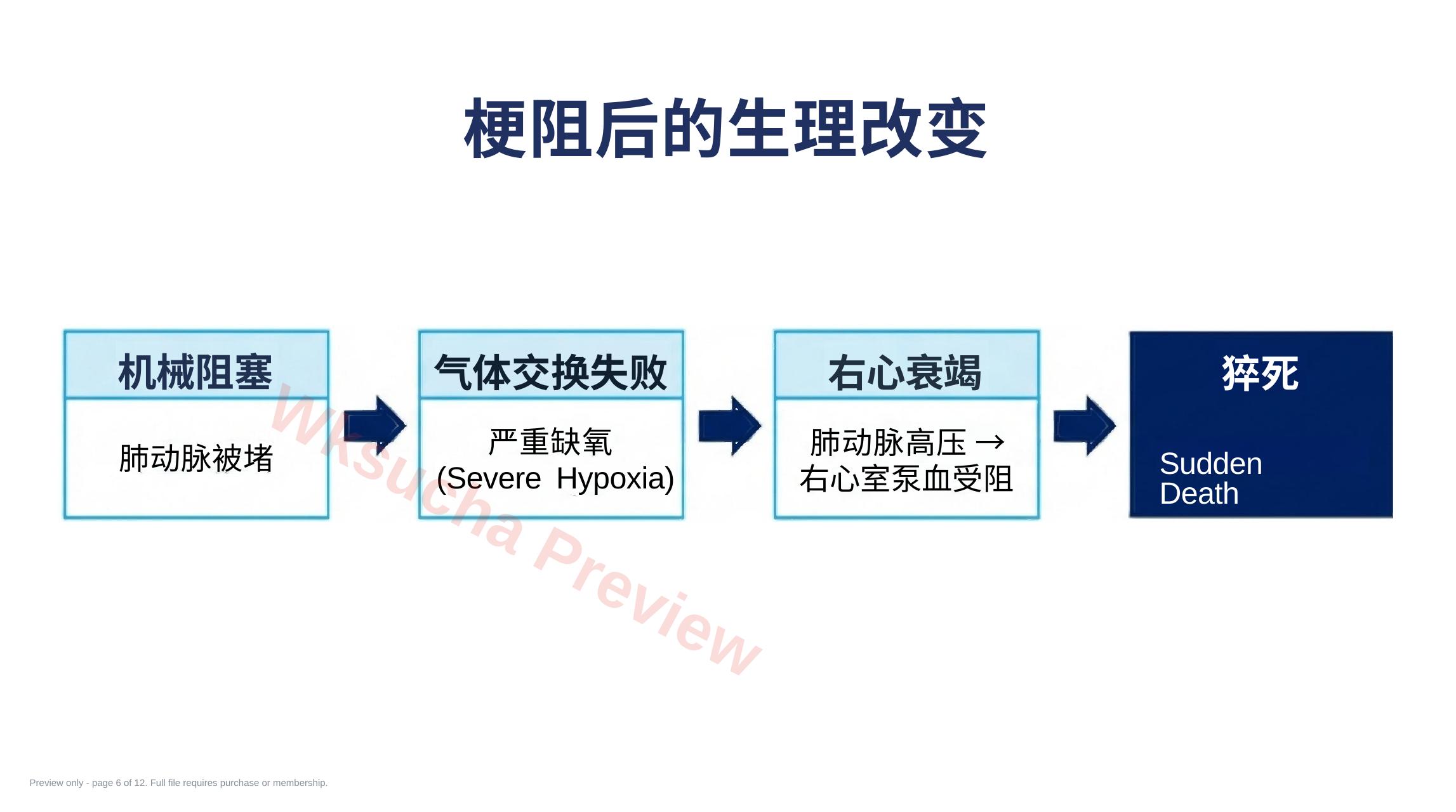 预览第 6 页