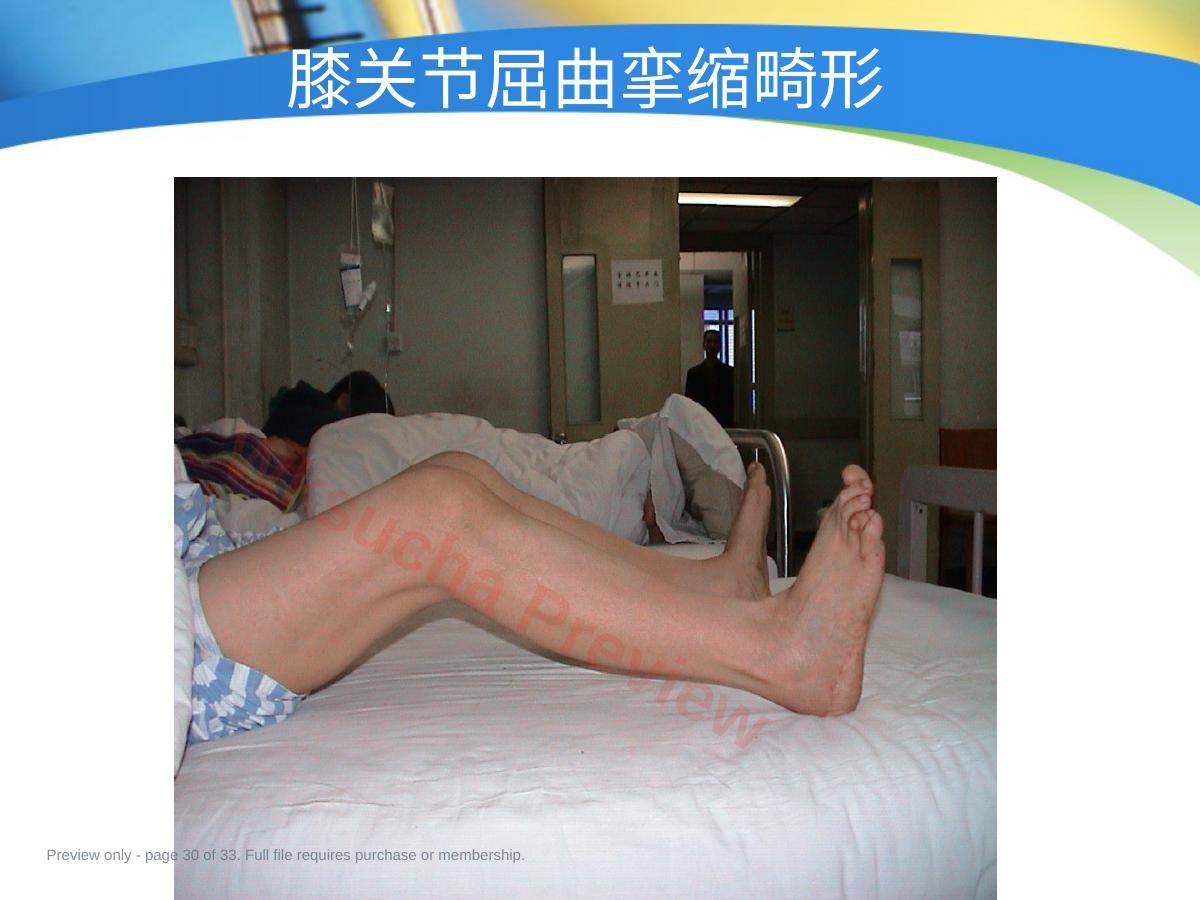 预览第 30 页
