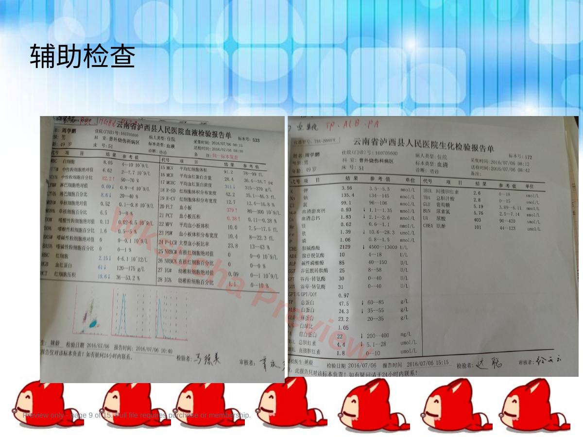 预览第 9 页