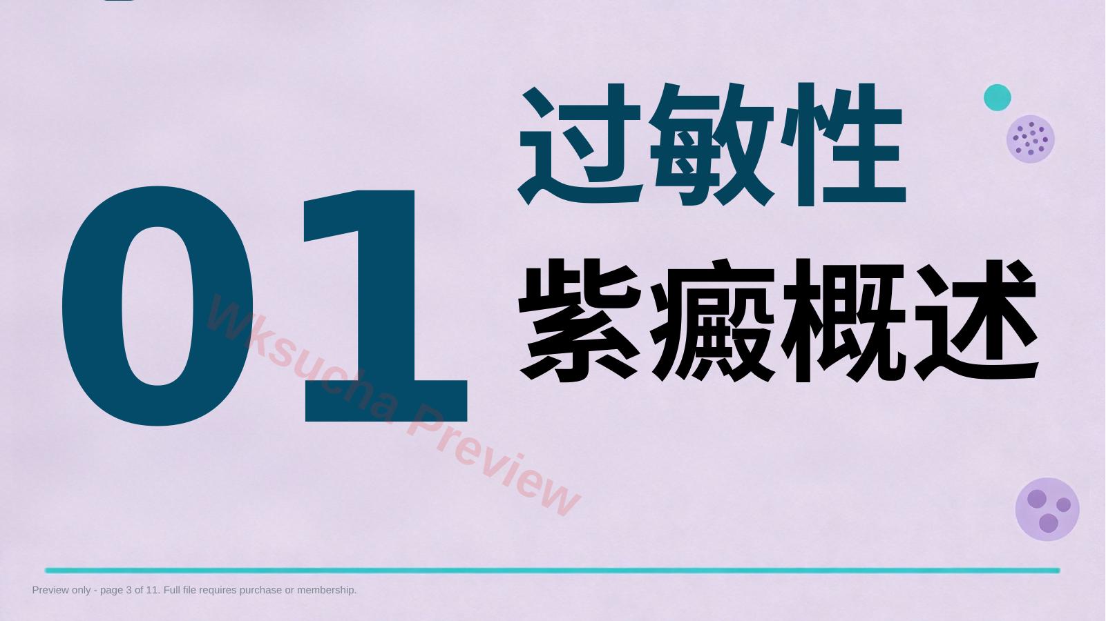 预览第 3 页