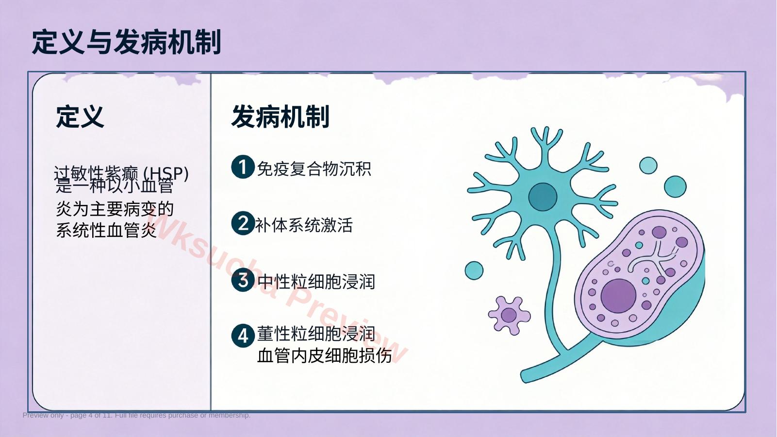 预览第 4 页