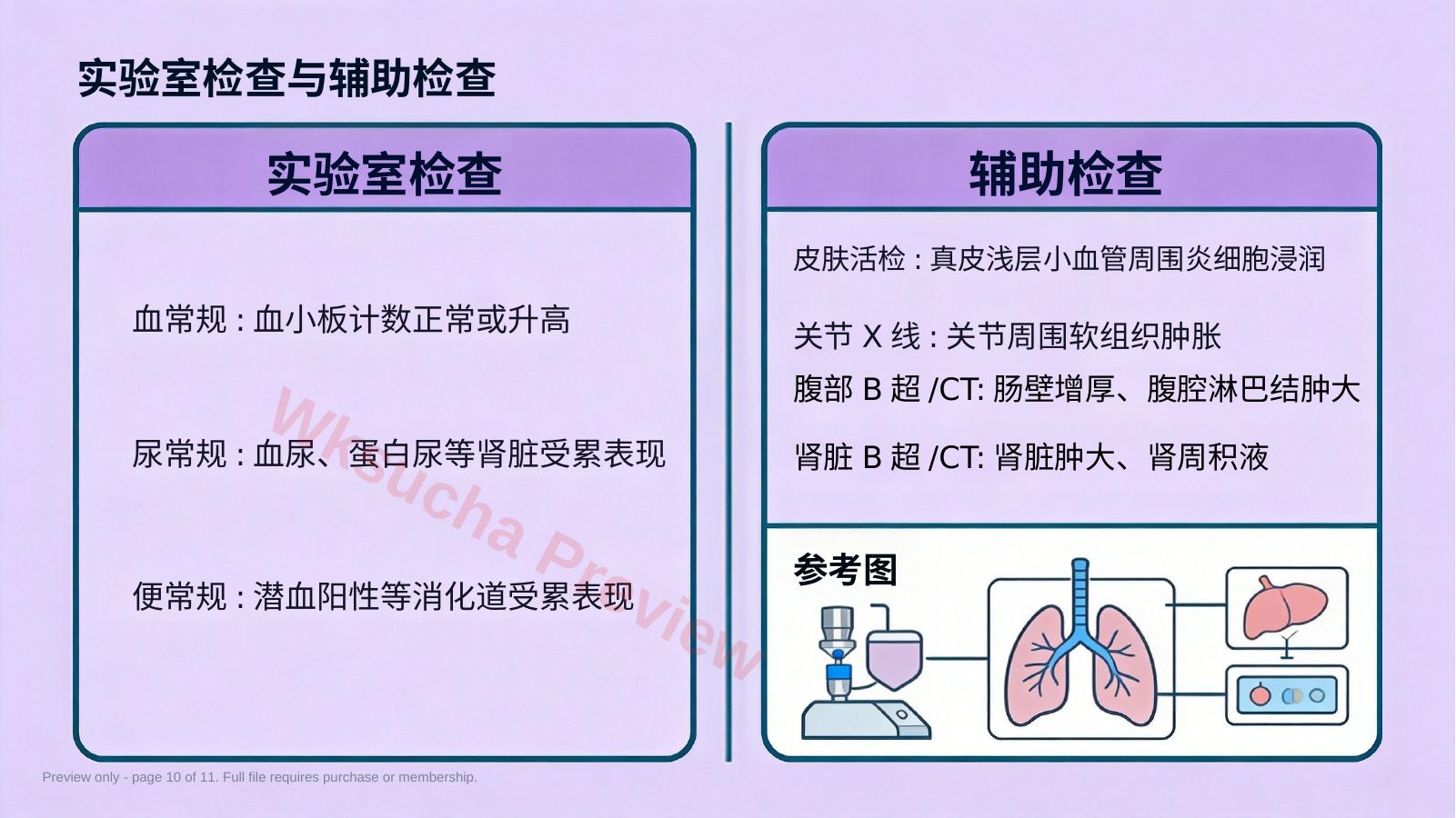 预览第 10 页