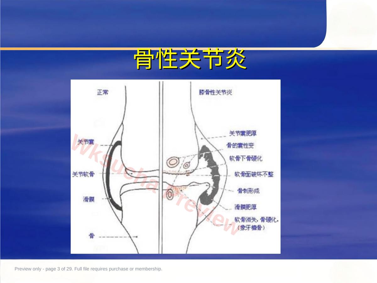 预览第 3 页