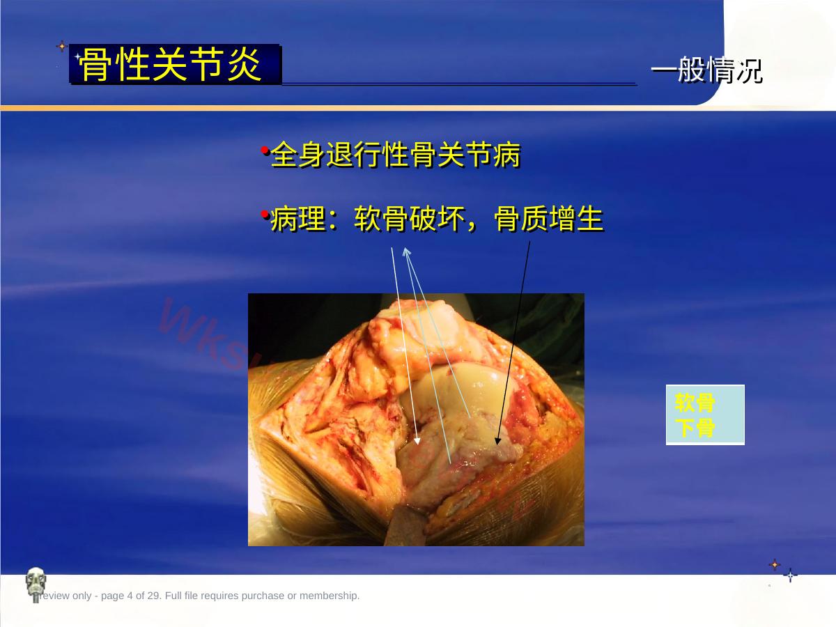 预览第 4 页
