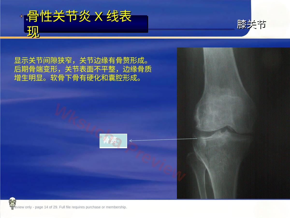 预览第 14 页
