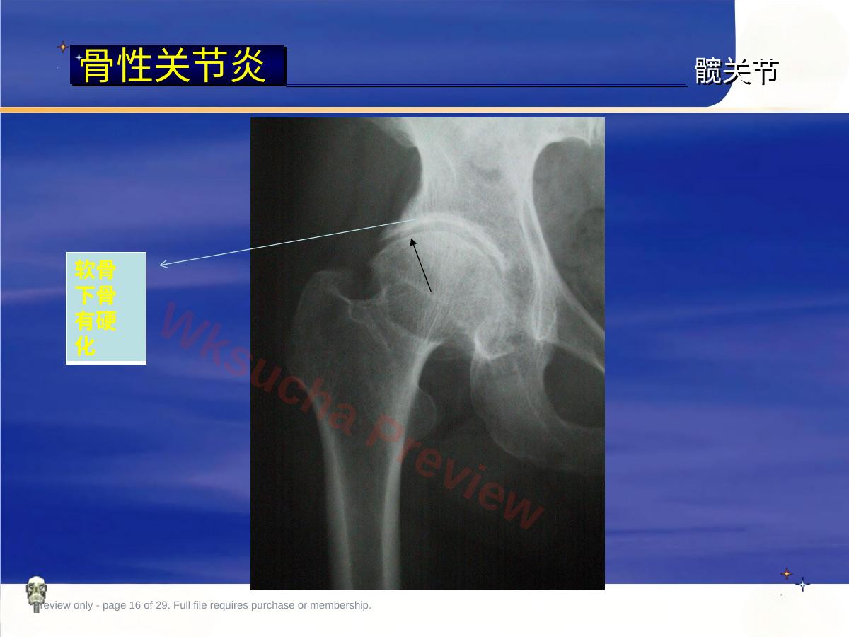 预览第 16 页