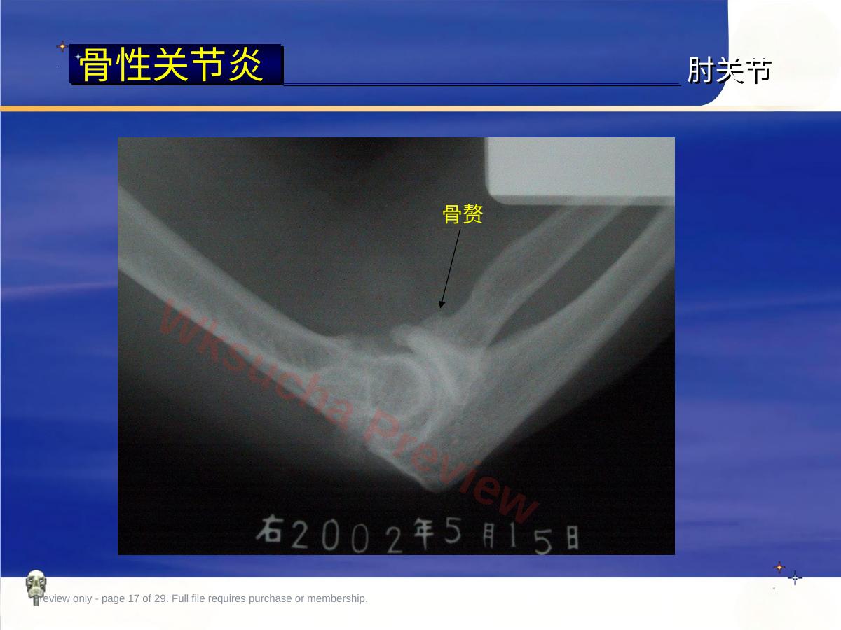 预览第 17 页