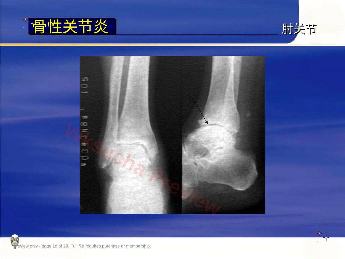 预览第 18 页