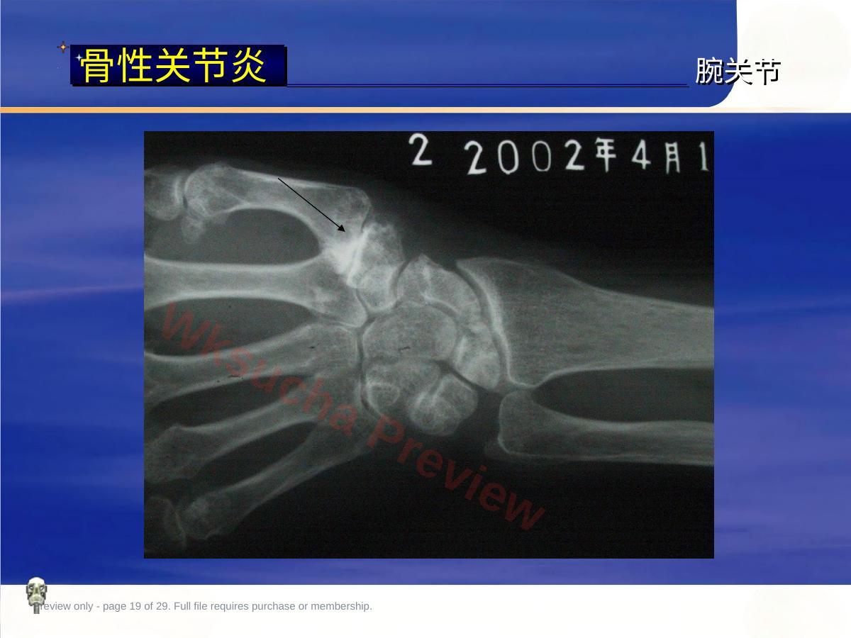 预览第 19 页