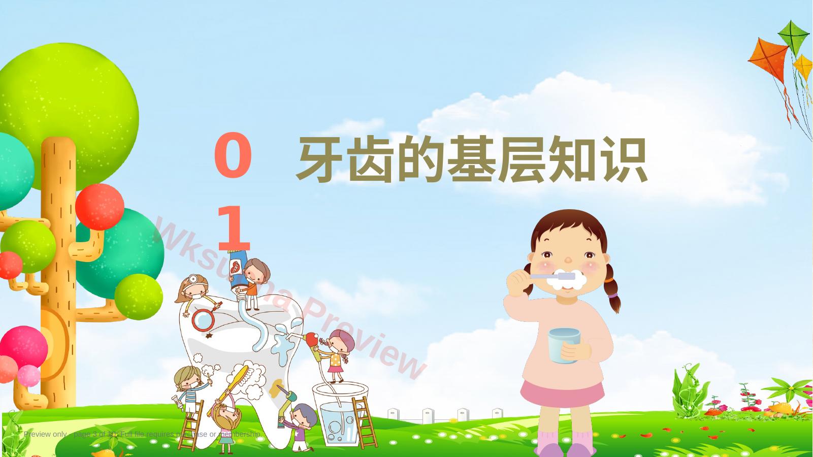 预览第 3 页