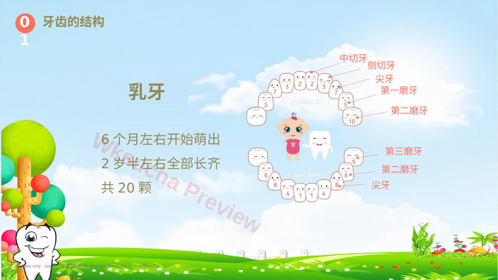 预览第 5 页