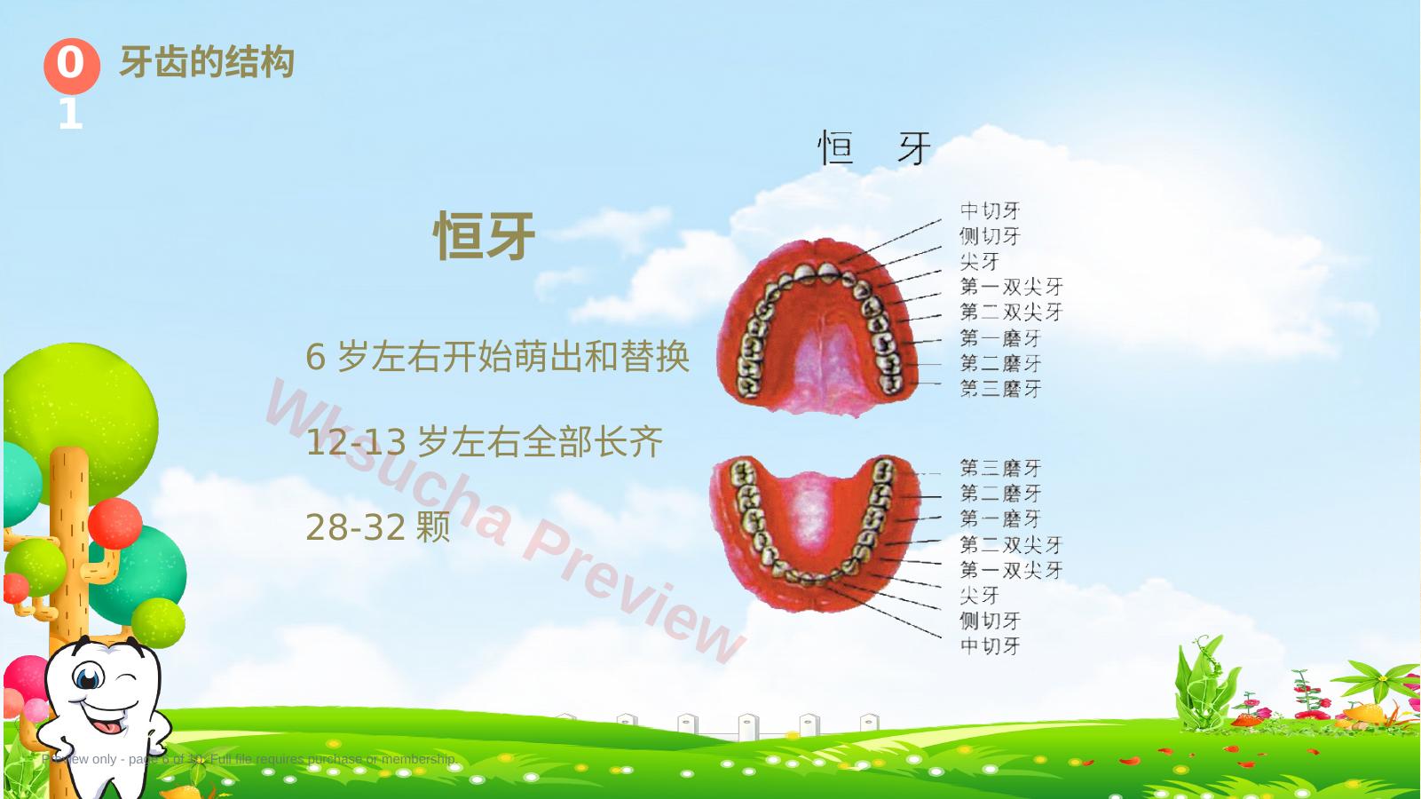 预览第 6 页