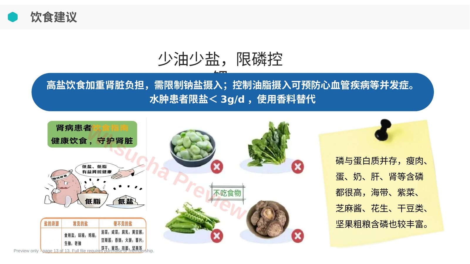 预览第 13 页
