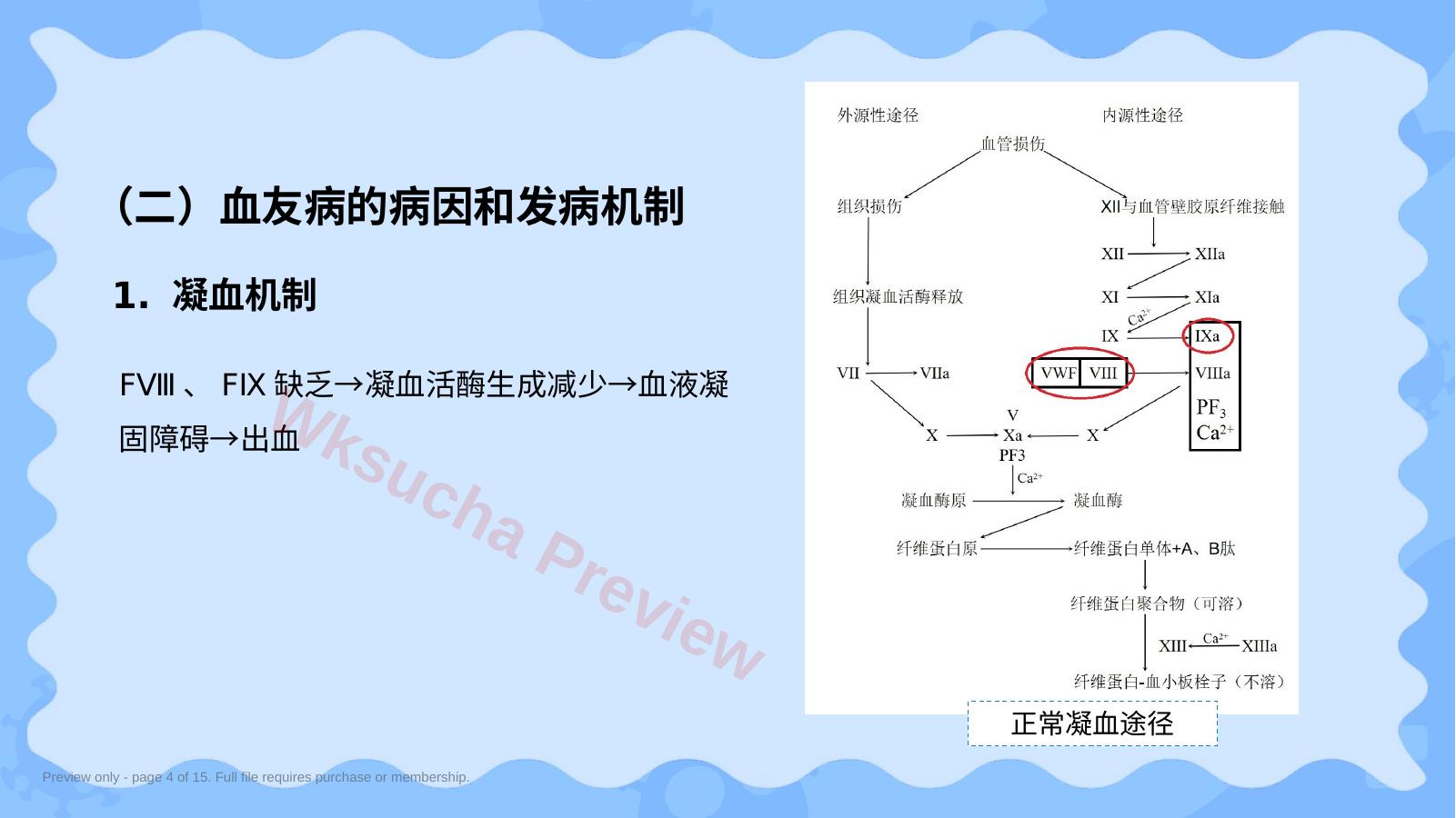 预览第 4 页