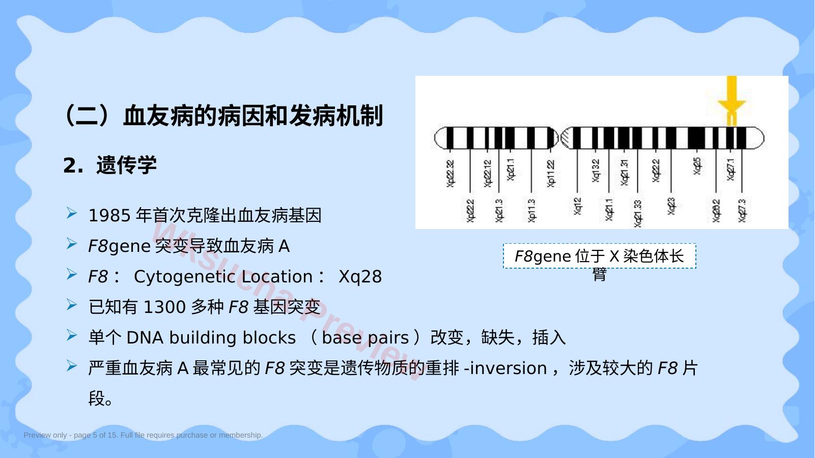 预览第 5 页