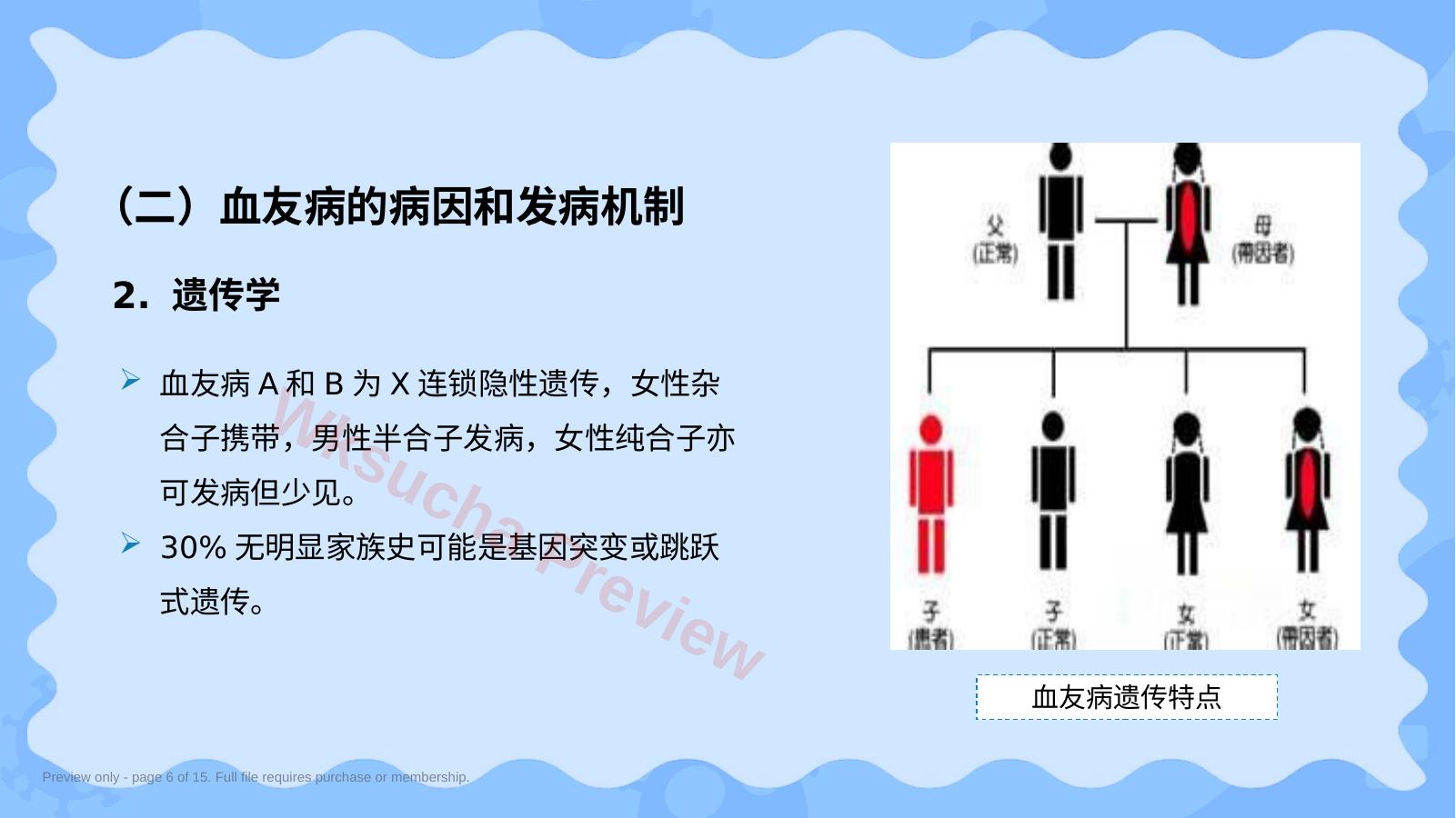 预览第 6 页