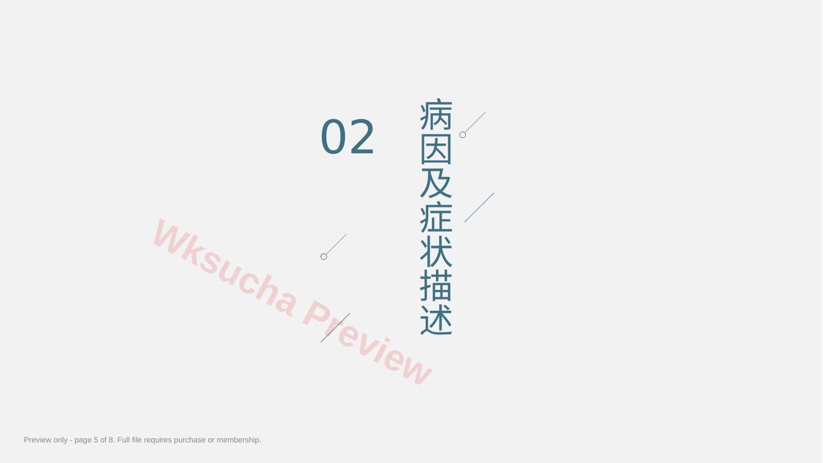 预览第 5 页