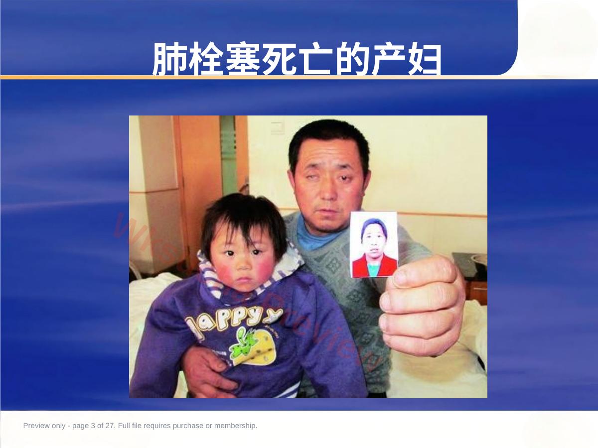 预览第 3 页