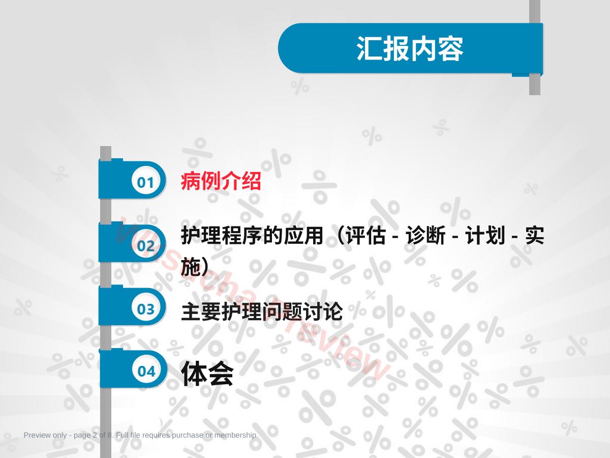 预览第 2 页