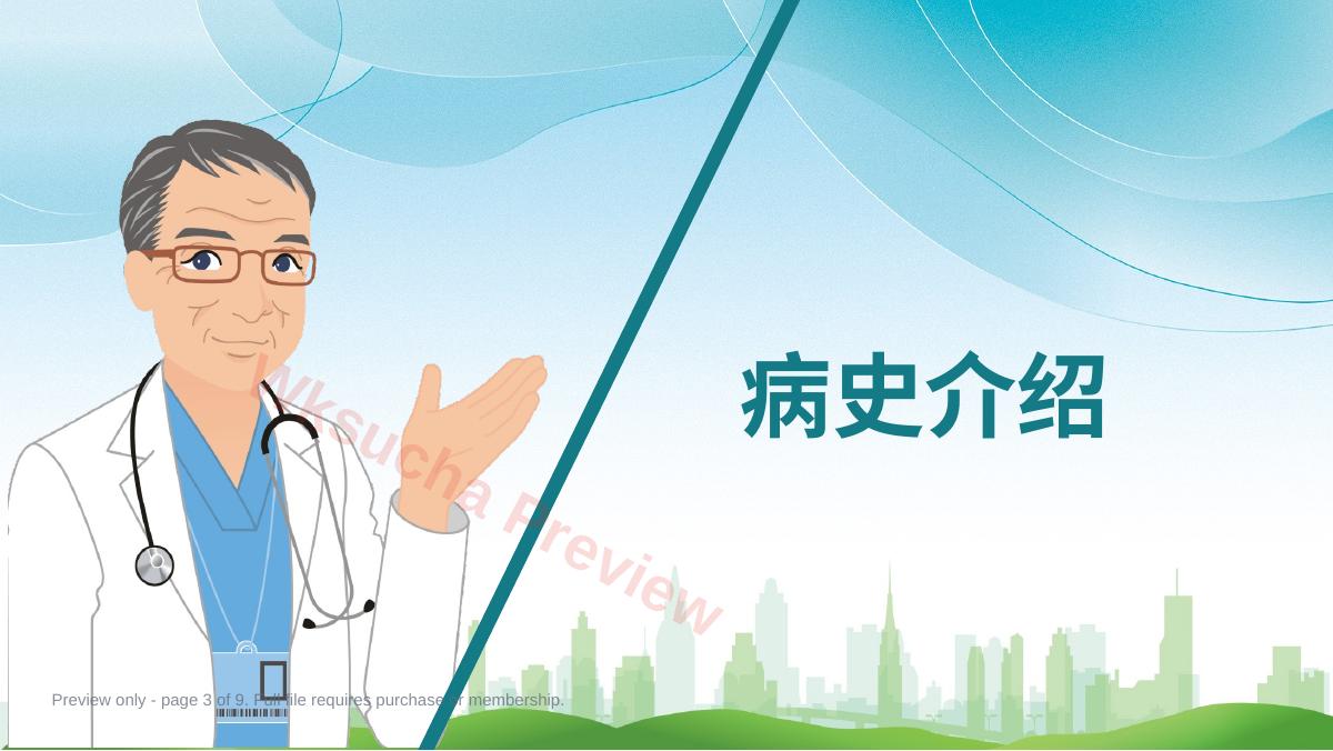 预览第 3 页