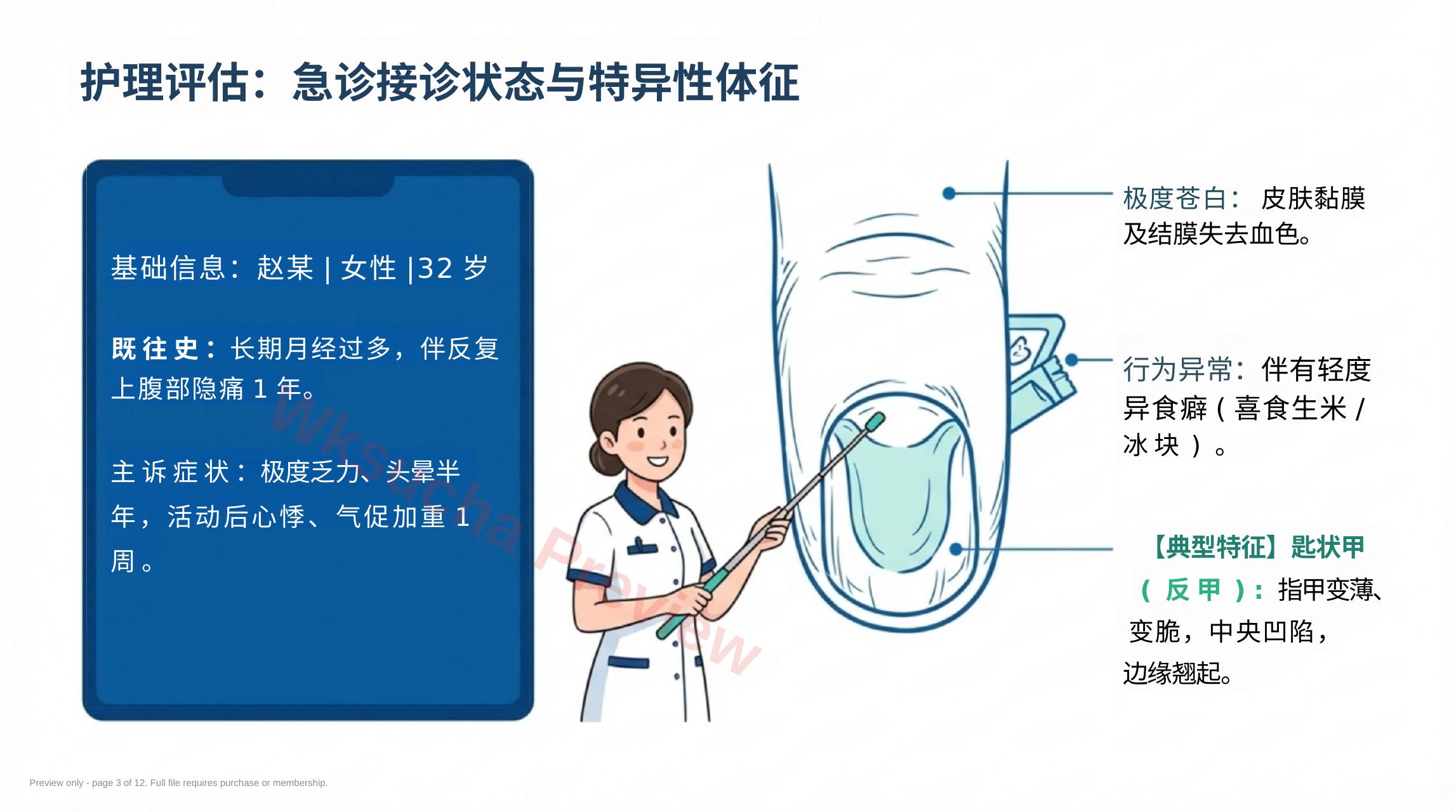 预览第 3 页