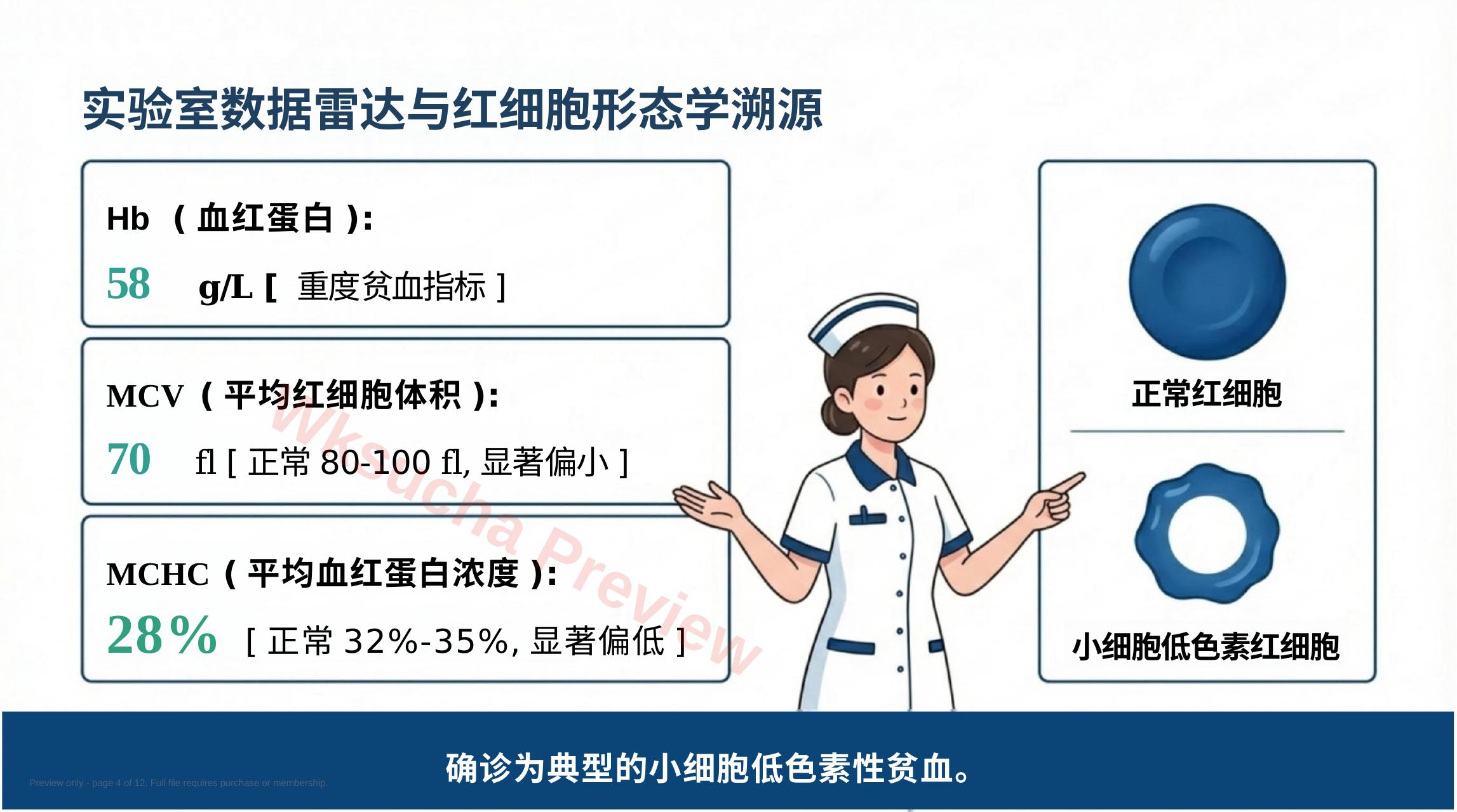 预览第 4 页